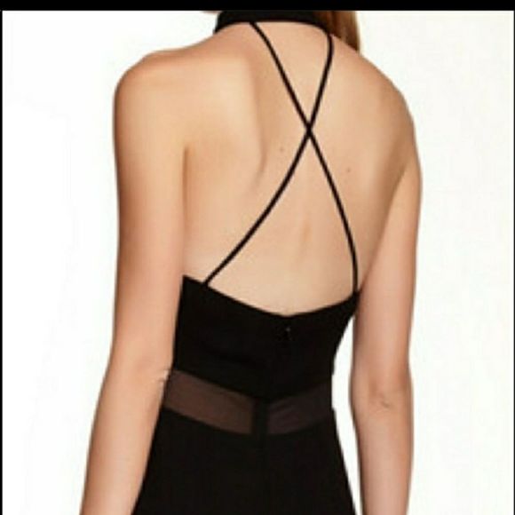 JILL STUART chiffon Insert Halter Gown - Picture 8 of 8